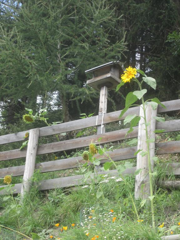 Ferienhaus Fichtenheim Prägraten المظهر الخارجي الصورة